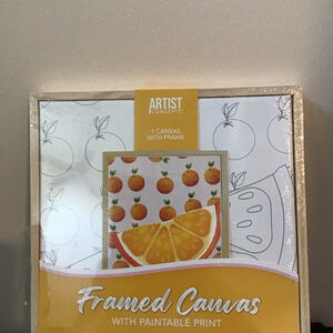 Artist Concepts Orange Framed Canvas with paint Nwt